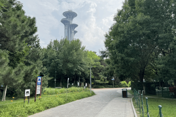 Inside Beijing’s Olympic Forest Park: A Green Olympic Legacy Inside_Beijing_s_Olympic_Forest_Park__A_Green_Olympic_Legacy video poster