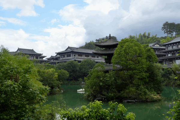 Zhejiang’s Hidden Art: Turning Tree Roots into Treasures Zhejiang’s Hidden Art: Turning Tree Roots into Treasures