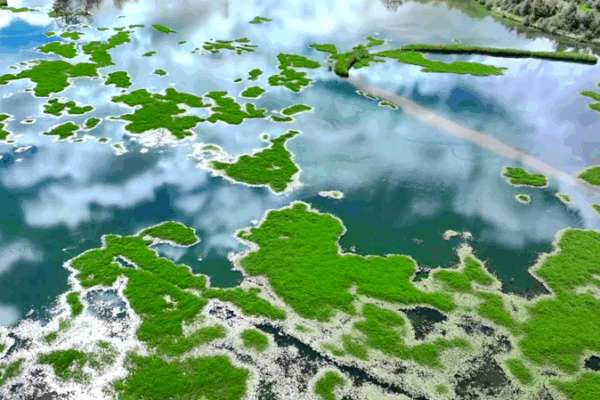 Scientists Unlock Secrets of Lhasa’s ‘Lungs’: Lalu Wetland Explored Scientists Unlock Secrets of Lhasa’s ‘Lungs’: Lalu Wetland Explored video poster