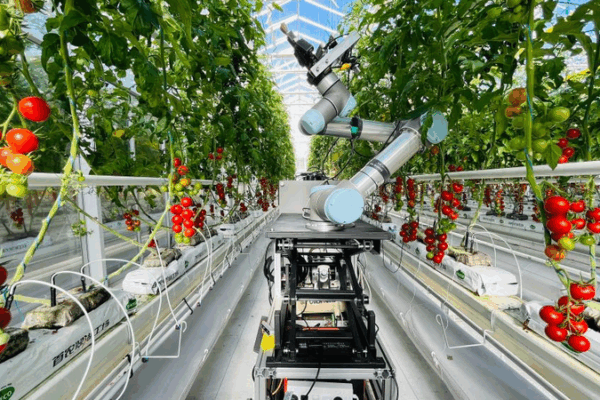 Meet GEAIR: The First Full-Process Plant-Breeding Robot Meet_GEAIR__The_First_Full_Process_Plant_Breeding_Robot