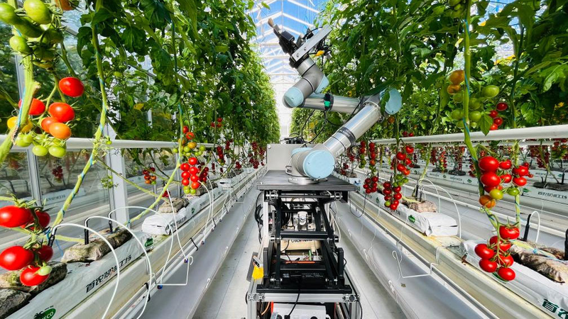 Meet_GEAIR__The_First_Full_Process_Plant_Breeding_Robot - Namaste Headlines Meet_GEAIR__The_First_Full_Process_Plant_Breeding_Robot