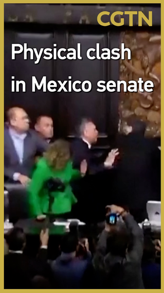 Mexico Senate Erupts in Brawl Over US Cartel Intervention Mexico_Senate_Erupts_in_Brawl_Over_US_Cartel_Intervention video poster