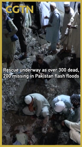 Monsoon Mayhem: 300+ Dead, 200 Missing in Pakistan Floods Monsoon_Mayhem__300__Dead__200_Missing_in_Pakistan_Floods video poster