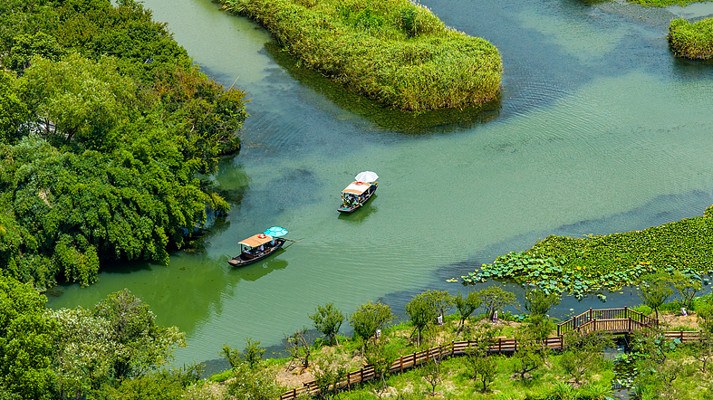 Serenity at Xixi National Wetland Park: Hangzhou’s Urban Oasis video poster