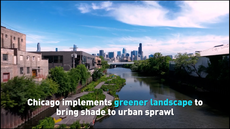 Chicago’s Green Makeover: Shade and Nature in the Concrete Jungle Chicago’s Green Makeover: Shade and Nature in the Concrete Jungle video poster