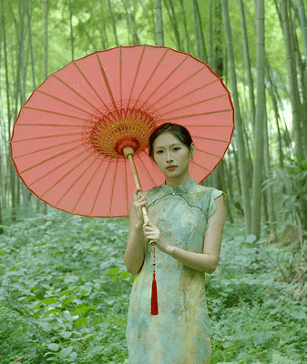 Oil-Paper Umbrellas: 1,000-Year-Old Craft Becomes the Latest China Chic Trend Oil_Paper_Umbrellas__1_000_Year_Old_Craft_Becomes_the_Latest_China_Chic_Trend video poster