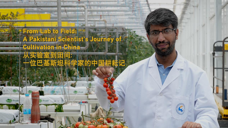 Pakistani Scientist Boosts Crop Yields by 40% in the Chinese Mainland Pakistani_Scientist_Boosts_Crop_Yields_by_40__in_the_Chinese_Mainland video poster