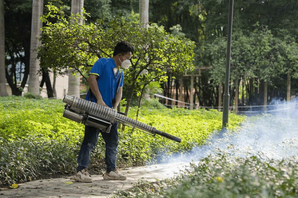 Foshan’s Mosquito Control Crushes Chikungunya Fever! Foshan’s Mosquito Control Crushes Chikungunya Fever!