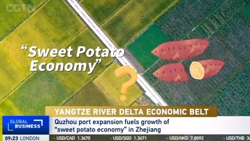 Quzhou_s_Sweet_Potato_Economy_Fuels_Zhejiang_s_Growth video poster
