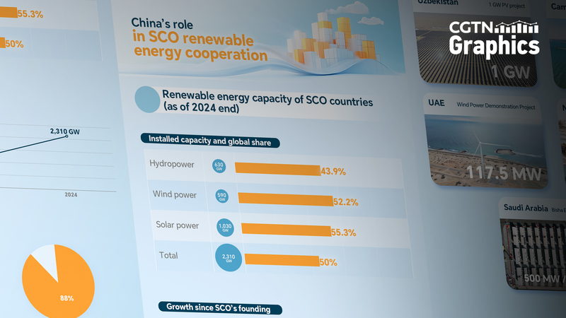 SCO’s Green Surge: Half of Global Renewable Power by 2024
