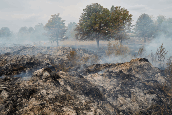 Russian Forces Advance in Donetsk, South Africa Urges Peace Summit Russian_Forces_Advance_in_Donetsk__South_Africa_Urges_Peace_Summit