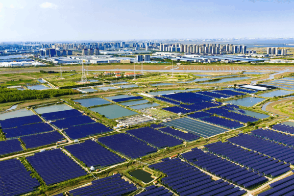 SCO Boosts Green Goals with 2025 Year of Sustainable Development SCO_Boosts_Green_Goals_with_2025_Year_of_Sustainable_Development