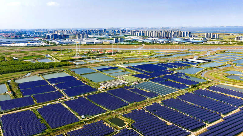 SCO_Boosts_Green_Goals_with_2025_Year_of_Sustainable_Development