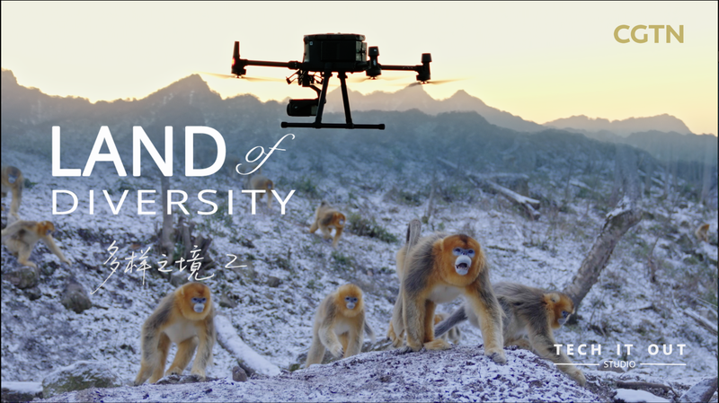 Smart Monkeys, Smarter Tech: Monkey Face ID Revolution Smart_Monkeys__Smarter_Tech__Monkey_Face_ID_Revolution video poster
