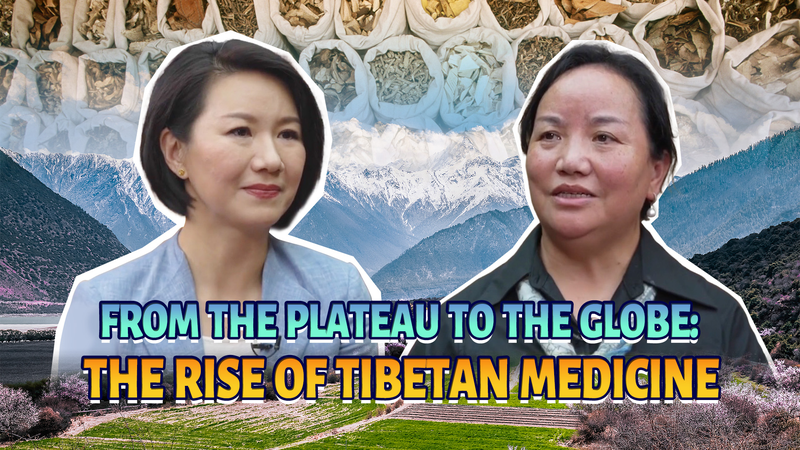 Tibetan_Medicine_Goes_Global__From_Plateau_Roots_to_Worldwide_Reach_poster - Namaste Headlines Tibetan_Medicine_Goes_Global__From_Plateau_Roots_to_Worldwide_Reach video poster