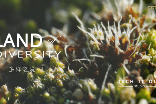 Tiny but Mighty: Meet Syntrichia caninervis, the Desert Moss Superstar Tiny_but_Mighty__Meet_Syntrichia_caninervis__the_Desert_Moss_Superstar video poster