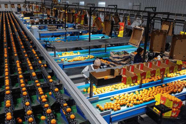 Trump_s_Tariffs_Stir_Global_Trade_Tensions