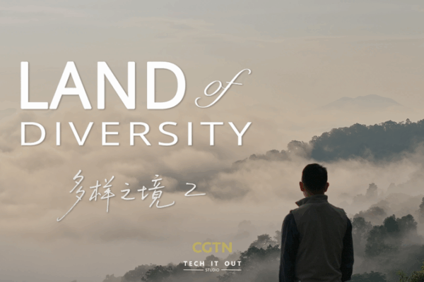 Land of Diversity II: Humans in Harmony with Nature 🌿 Land of Diversity II: Humans in Harmony with Nature 🌿 video poster