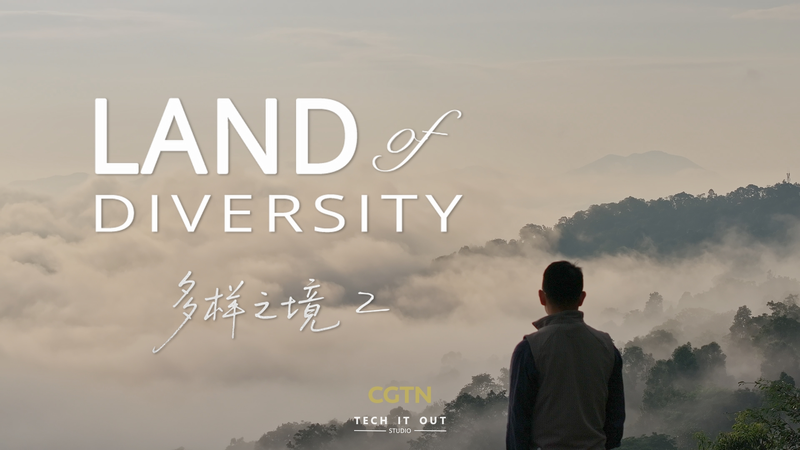 Land of Diversity II: Humans in Harmony with Nature 🌿 video poster