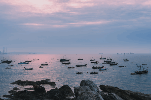 UN_80__4th_Visual_Collection_Showcases_Youth_Visions_of_a_Shared_Future