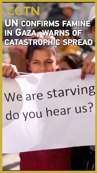 UN_Declares_Famine_in_Gaza__Warns_of_Catastrophic_Spread video poster
