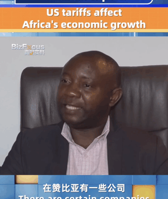 US Tariffs Threaten Africa’s Growth, Zambian Expert Warns US_Tariffs_Threaten_Africa_s_Growth__Zambian_Expert_Warns video poster