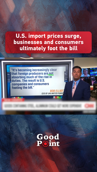 U_S__Tariffs_Spark_Import_Price_Surge__Consumers_Foot_the_Bill video poster