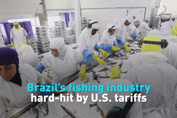 U.S. Tariffs Shake Up Brazil’s Fishing Industry U.S. Tariffs Shake Up Brazil’s Fishing Industry video poster