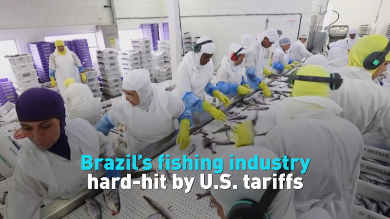 U.S. Tariffs Shake Up Brazil’s Fishing Industry video poster