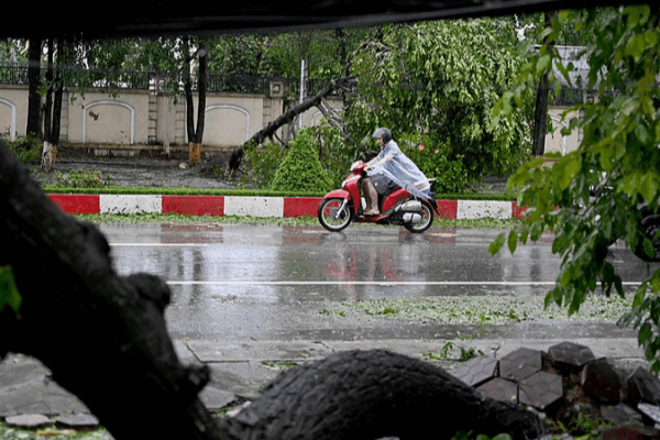 Vietnam After Typhoon Kajiki: Evacuations, Aid & Community Resilience Vietnam_After_Typhoon_Kajiki__Evacuations__Aid___Community_Resilience video poster