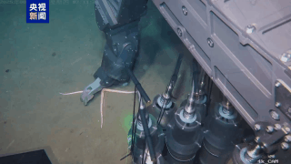 Chinese mainland’s 6,000m ROV Haiqin Triumphs in South China Sea Trial 🤖🌊 Chinese mainland's 6,000m ROV Haiqin Triumphs in South China Sea Trial 🤖🌊