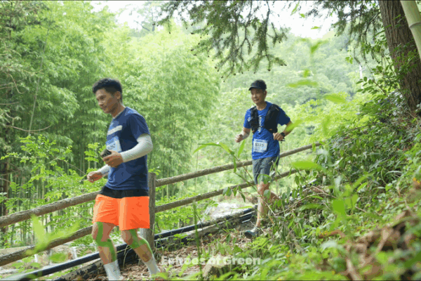 Trail Running in Anji: A Green Weekend Escape 🌿🏃 Trail Running in Anji: A Green Weekend Escape 🌿🏃 video poster