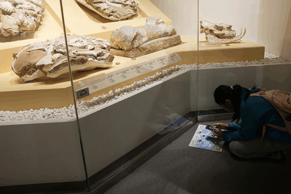 Beijing’s High-Tech Plan: AI, VR & Big Data to Revamp Relics by 2035 Beijing’s High-Tech Plan: AI, VR & Big Data to Revamp Relics by 2035