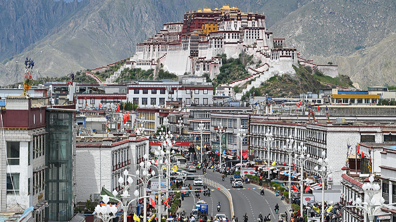Xizang Income Soars: Urban & Rural Growth in 2024 Xizang_Income_Soars__Urban___Rural_Growth_in_2024
