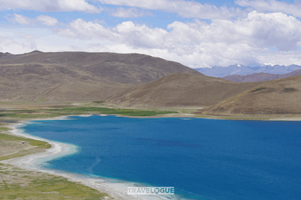 Yaks & Highland Farming at Yamzhog Yumco Lake Yaks___Highland_Farming_at_Yamzhog_Yumco_Lake