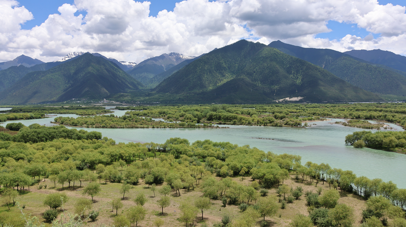 Yani Wetland: An Eco-Oasis on the ‘Roof of the World’ Yani_Wetland__An_Eco_Oasis_on_the__Roof_of_the_World_