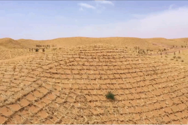 How Straw Grids in Ningxia Built a 42km Green Great Wall 🌱 How Straw Grids in Ningxia Built a 42km Green Great Wall 🌱