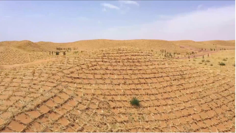 How Straw Grids in Ningxia Built a 42km Green Great Wall 🌱