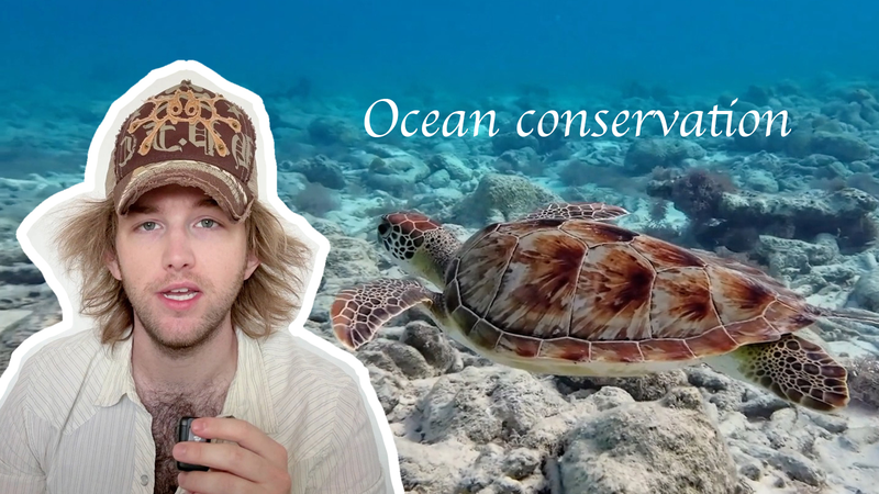 Robbie Swain at UN@80: A Call for Global Ocean Conservation 🌊 video poster