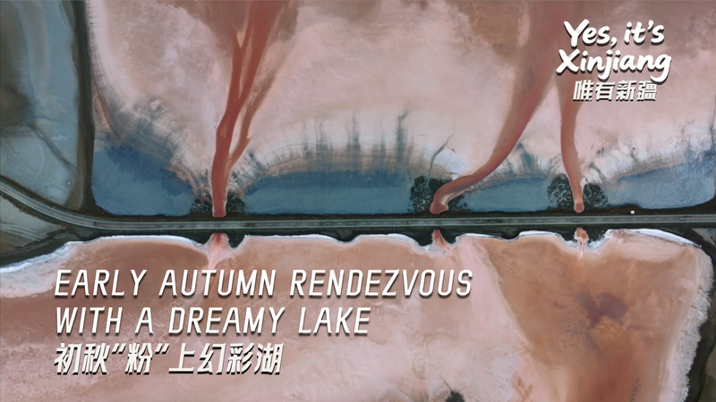 14D7OUZKH99LRAATBWVH - Namaste Headlines Chasing Pink Waters: Early Autumn at Xinjiang’s Tuolekule Lake video poster
