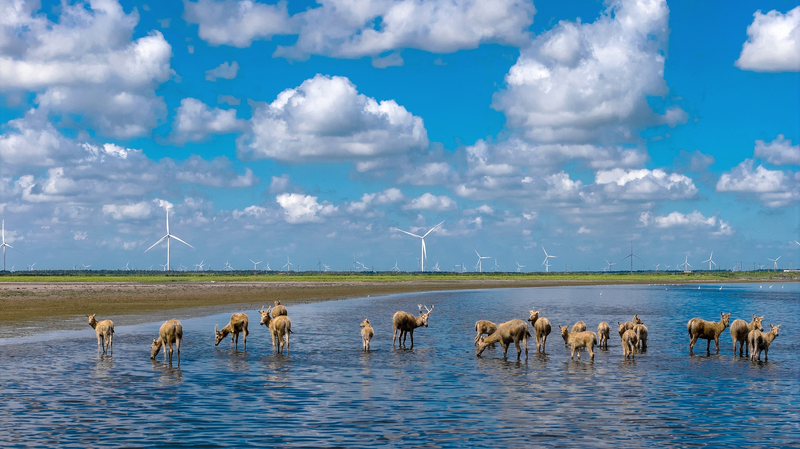 1L0EONI06PPJQTODVKSA - Namaste Headlines Chinese mainland’s green leap: air, water, biodiversity improve