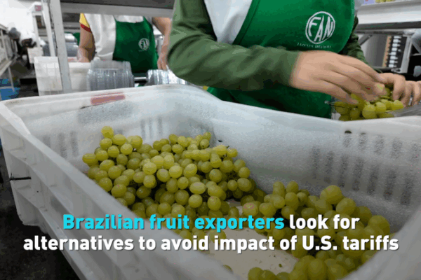 Brazil’s Fruit Exporters Seek New Markets After US Tariffs Bite Brazil’s Fruit Exporters Seek New Markets After US Tariffs Bite video poster
