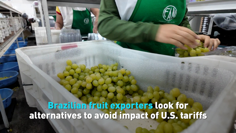 Brazil’s Fruit Exporters Seek New Markets After US Tariffs Bite video poster
