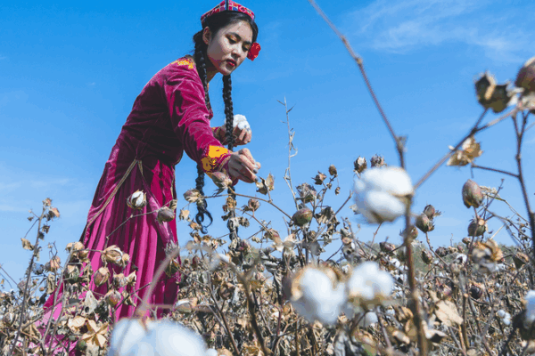 Xinjiang at 70: Busting Myths and Embracing Tech-Driven Growth 🌾🤖 Xinjiang at 70: Busting Myths and Embracing Tech-Driven Growth 🌾🤖