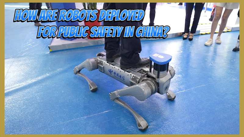 Robots on Patrol: Inside Chinese Mainland's Public Safety Tech Expo 🤖 video poster