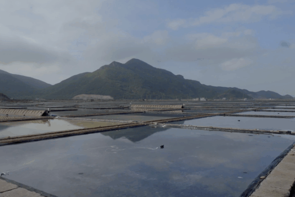 Zhejiang’s Sun-Dried Sea Salt: 1,300 Years of Maritime Heritage Zhejiang’s Sun-Dried Sea Salt: 1,300 Years of Maritime Heritage video poster