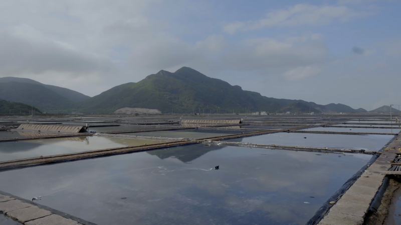 38WZIT5XL7BSGQDX6KSQ - Namaste Headlines Zhejiang’s Sun-Dried Sea Salt: 1,300 Years of Maritime Heritage video poster