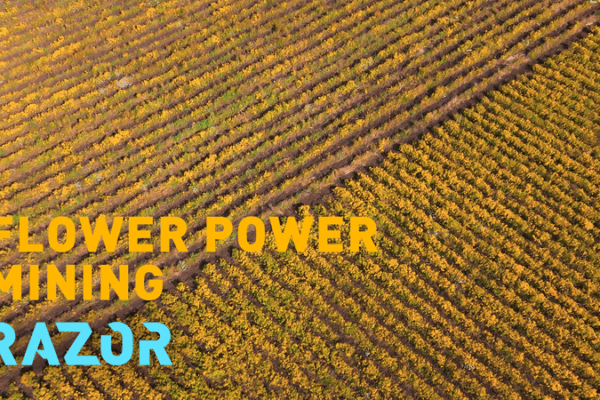 Blooming Nickel: Albania’s Flower-Powered EV Mining Revolution Blooming Nickel: Albania’s Flower-Powered EV Mining Revolution video poster