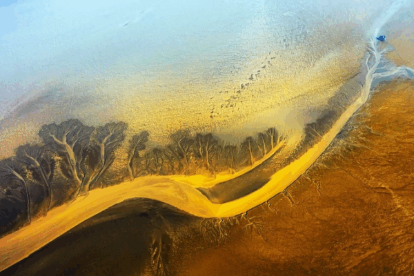 World Coastal Forum 2025 Launches in Yancheng 🌊