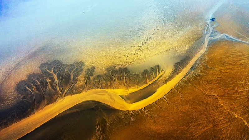 World Coastal Forum 2025 Launches in Yancheng 🌊